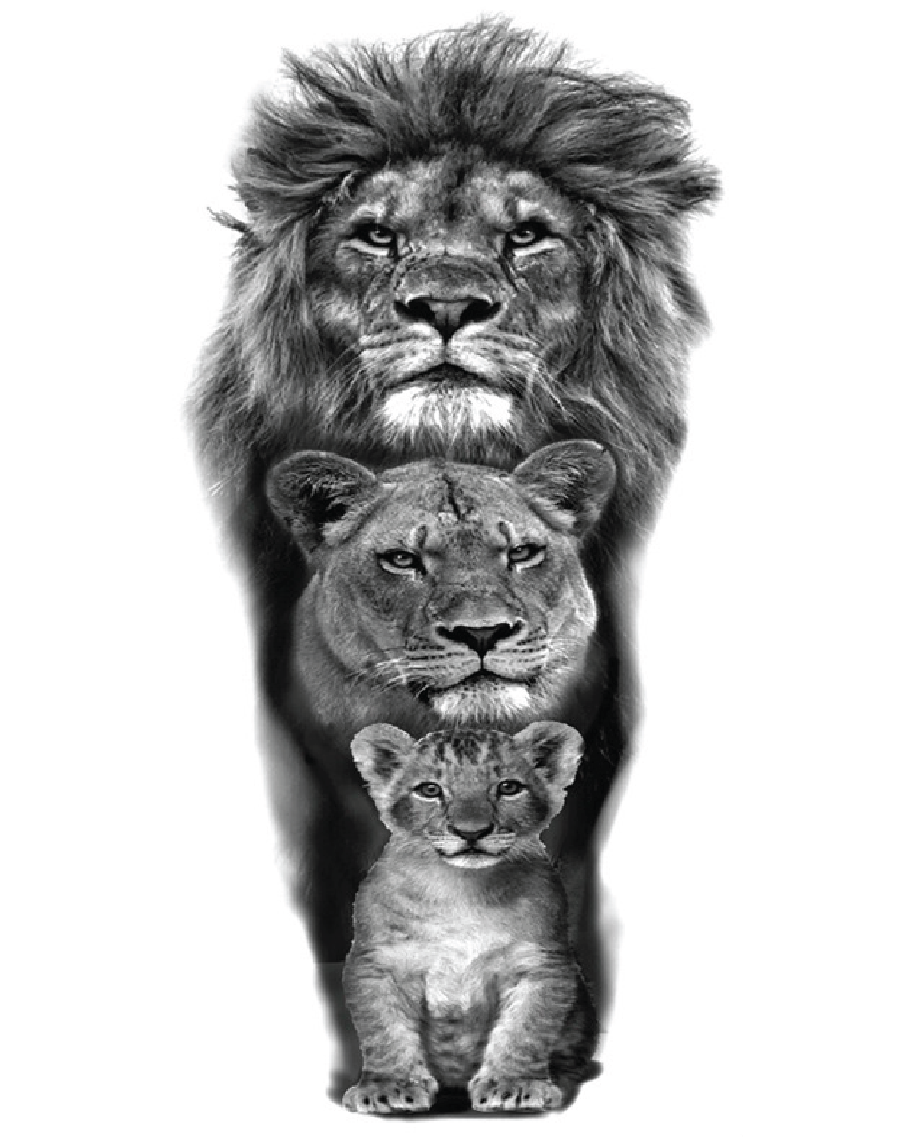 Lions Temporary Tattoo | EasyTatt™