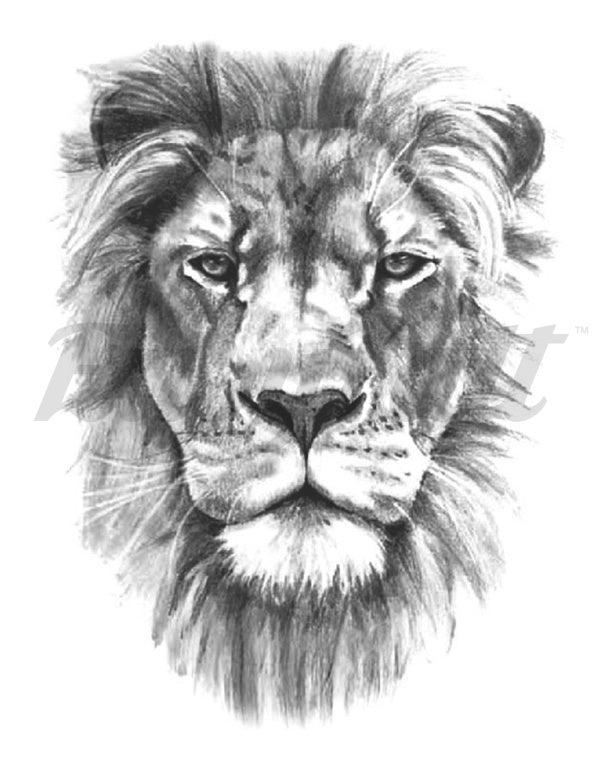 The Lion Temporary Tattoo Sleeve | EasyTatt™