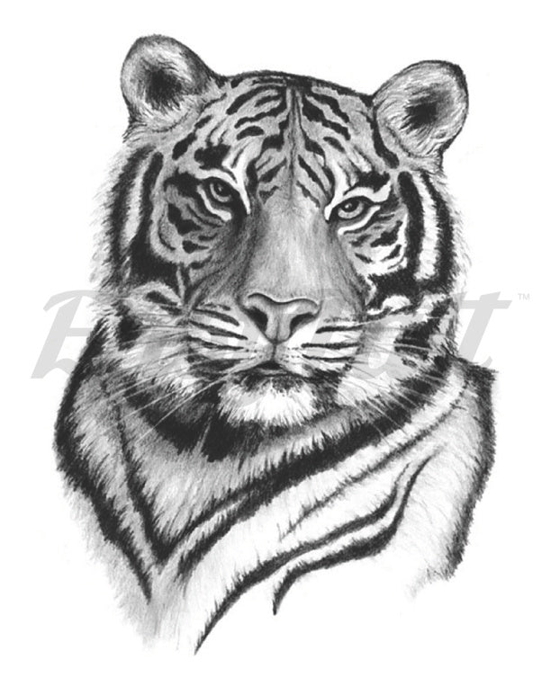 Tiger Power Temporary Tattoo Sleeve | EasyTatt™