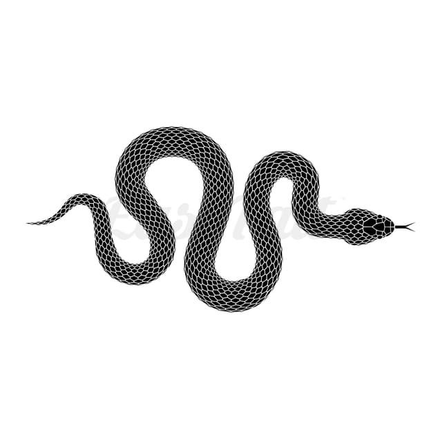 Black Snake Temporary Tattoo | EasyTatt™