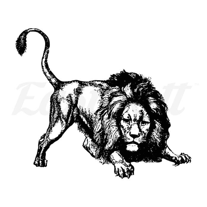 Defensive Lion Temporary Tattoo | EasyTatt™