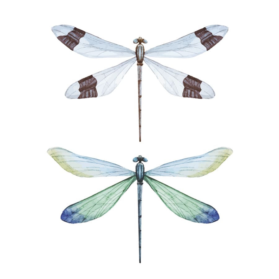 Dragon Flies Temporary Tattoo | EasyTatt™