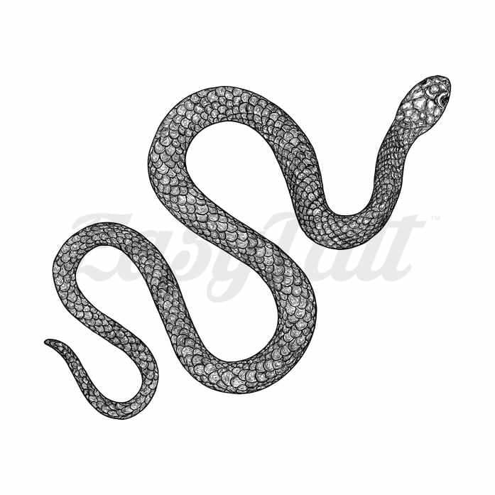 Snake Outline Temporary Tattoo | EasyTatt™